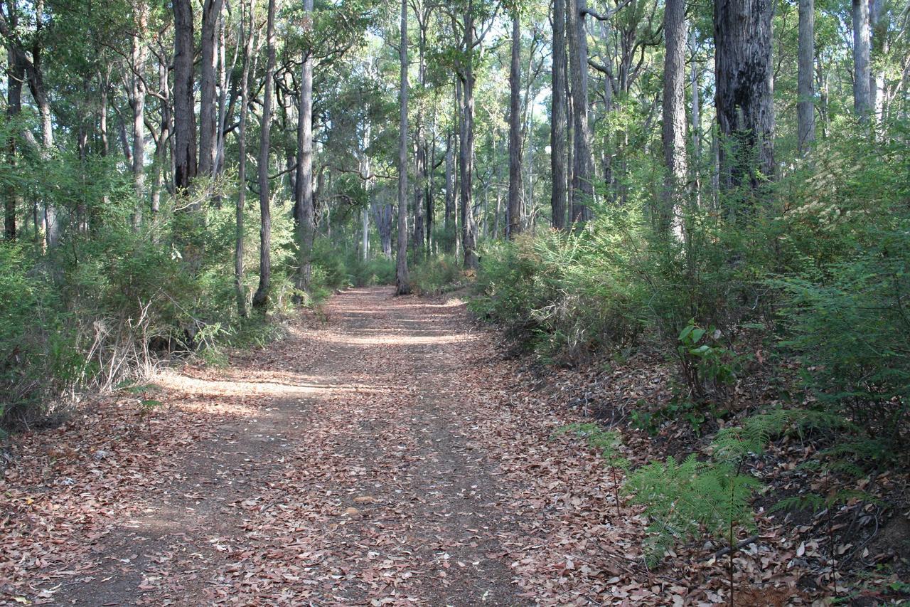 Wellington Forest Cottages Buitenkant foto