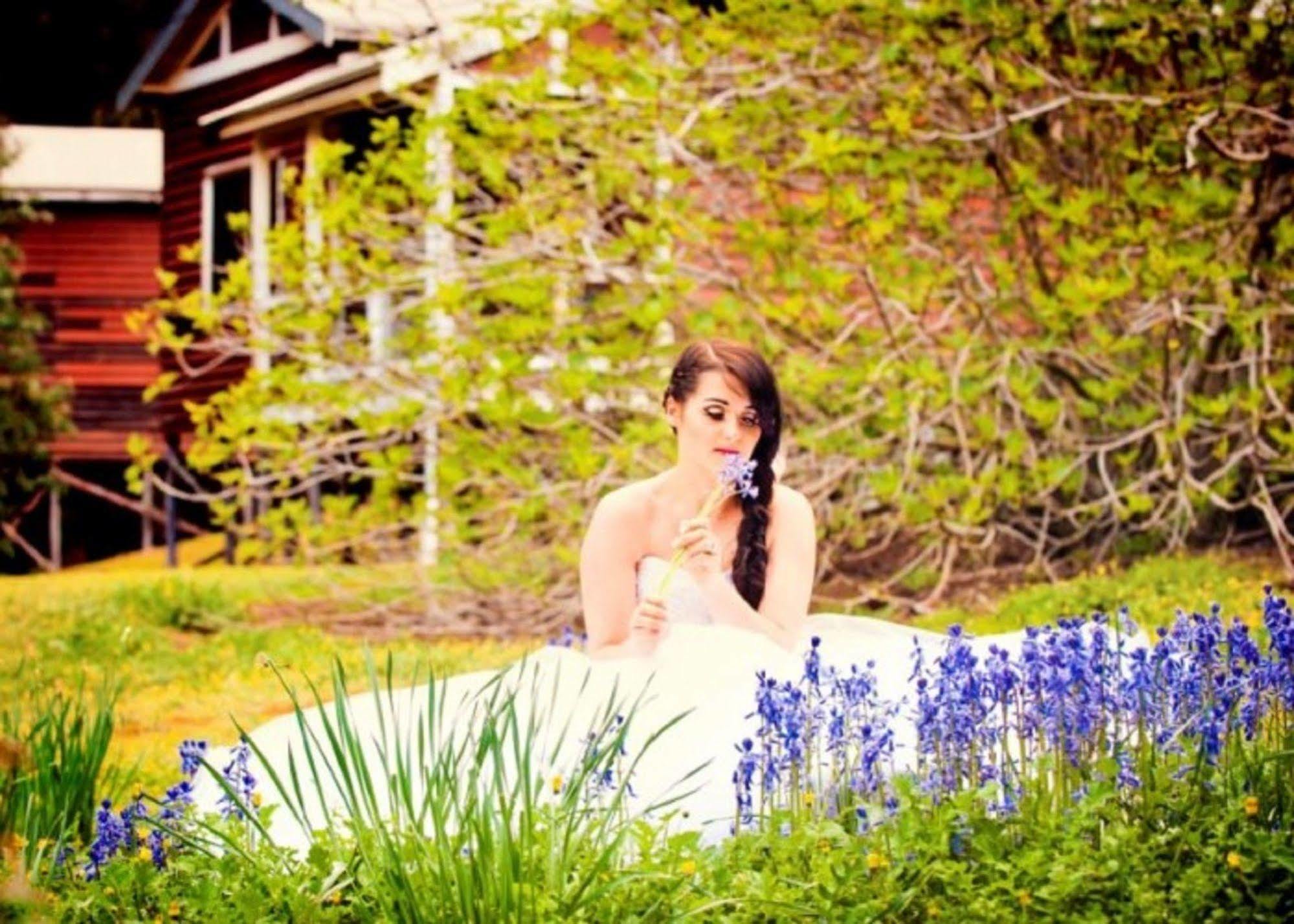 Wellington Forest Cottages Buitenkant foto